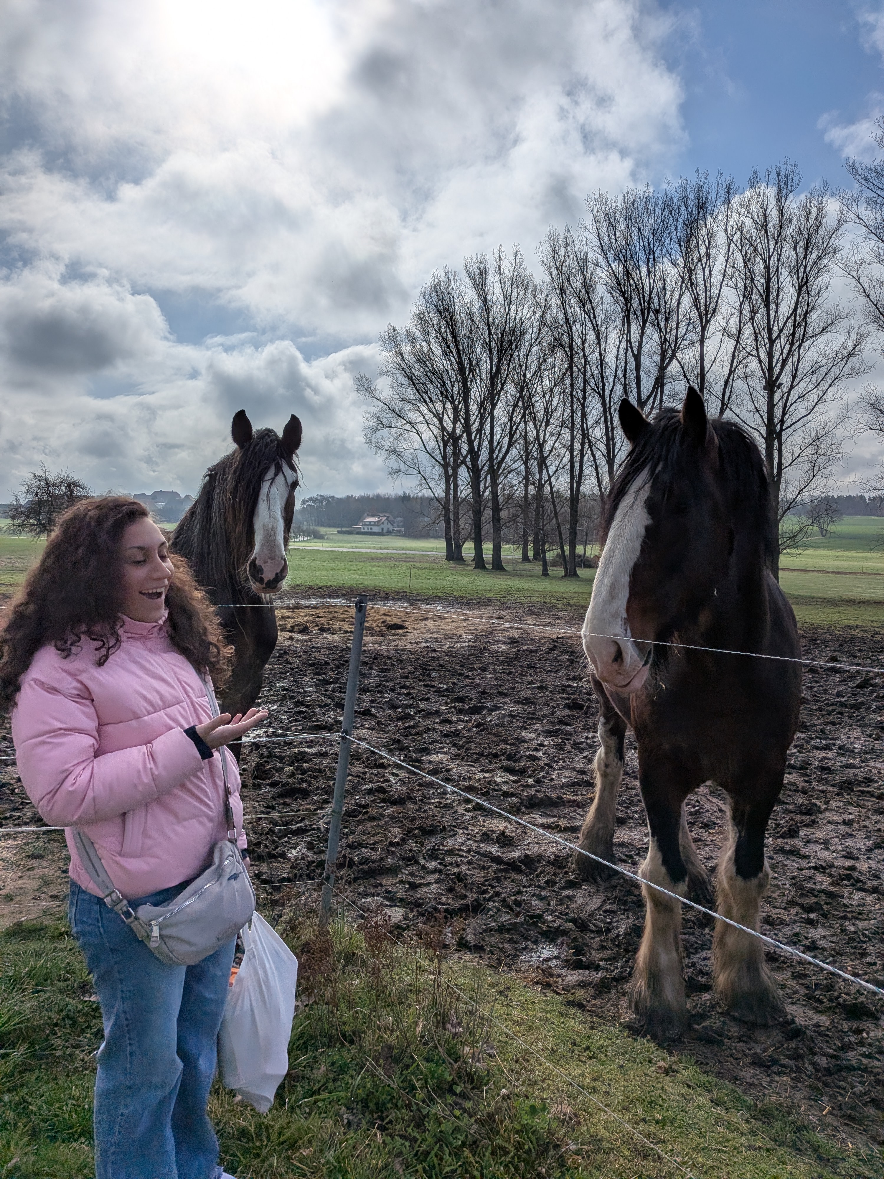 You with a horse
